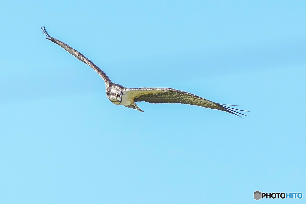 いつもの公園「青秋の空」（１）