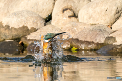いつもの公園「ライブ！」（３）