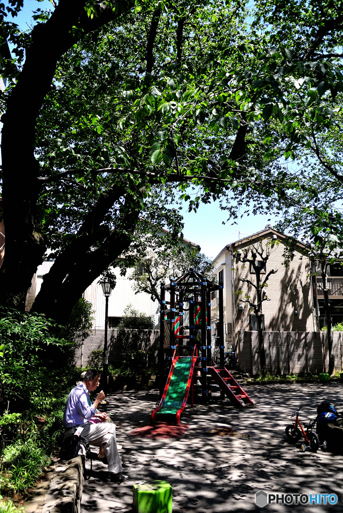 GW谷根千巡り（１４）「岡倉天心公園」
