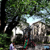 GW谷根千巡り（１４）「岡倉天心公園」