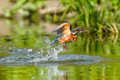 いつもの公園「水飛沫」