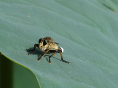 公園の仲間　８－１「イケてるでしょ」