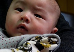 孫　「男の眉」
