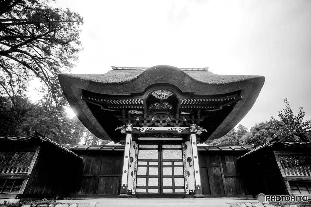 唐門男構え（鹿沼医王寺）