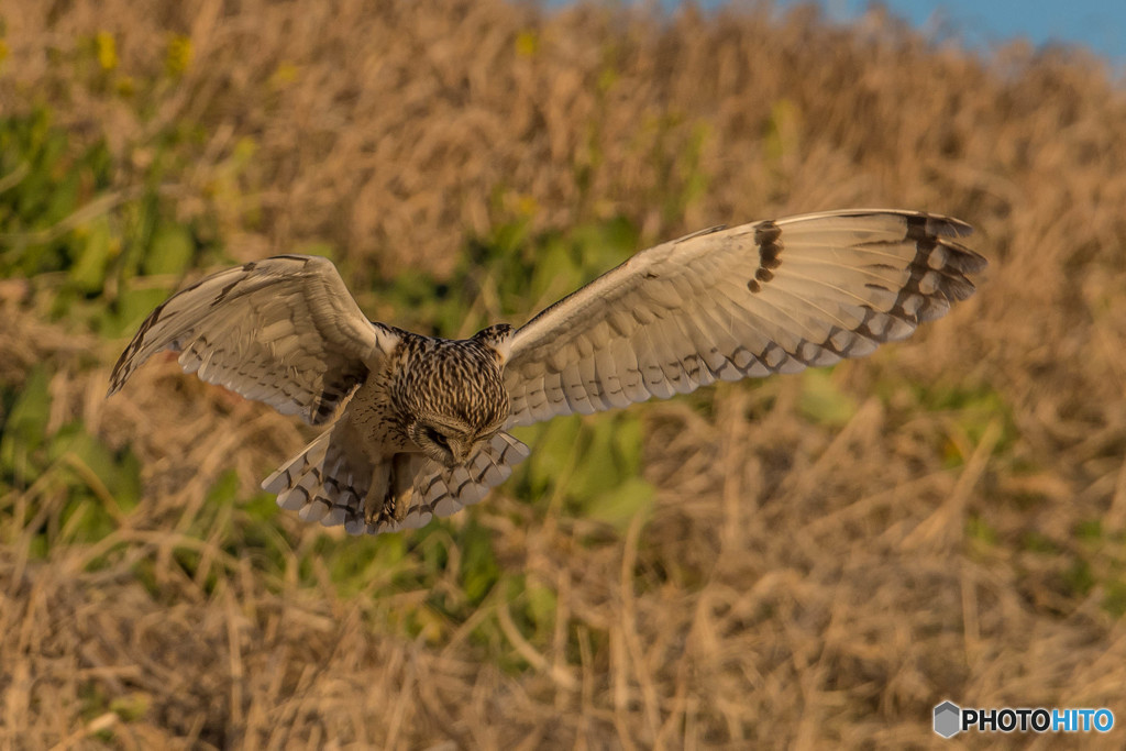 何を探しているのでしょうか？（３）
