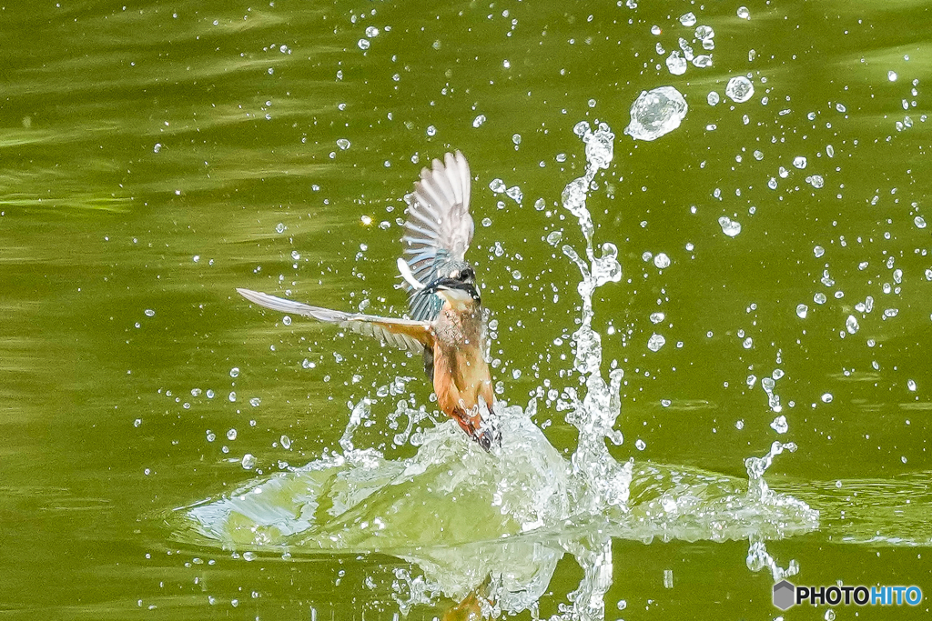 いつもの公園「バブル！」