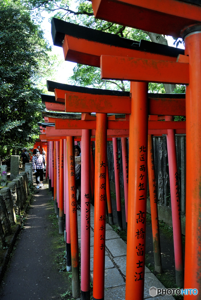 GW谷根千巡り（１９）「千の鳥居」