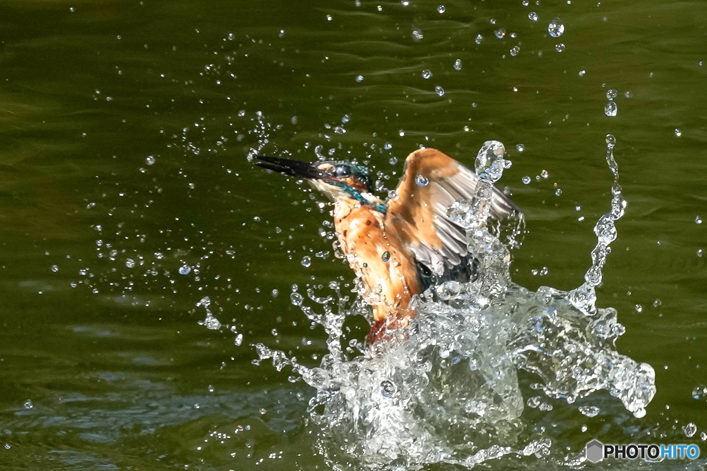 いつもの公園「機械力」（２）