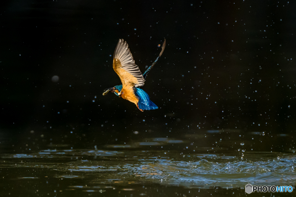 いつもの公園「グッバイ」