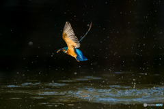 いつもの公園「グッバイ」