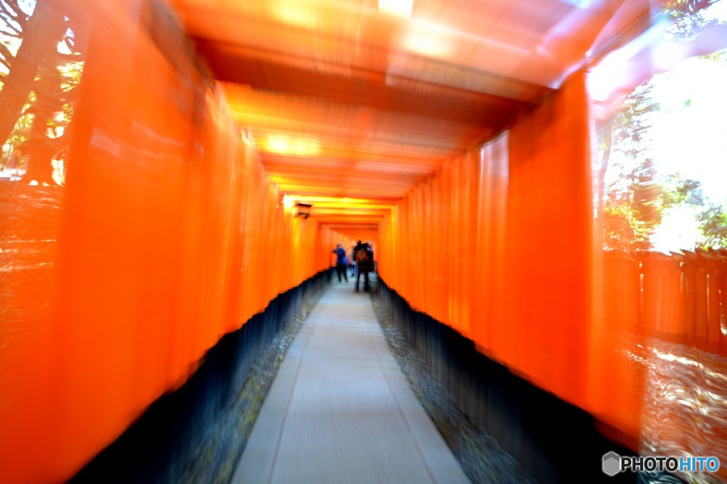 千本鳥居「「朱」の参道」