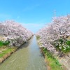 桜水路（１）