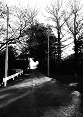 御近所寸景　「近道」
