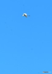 空