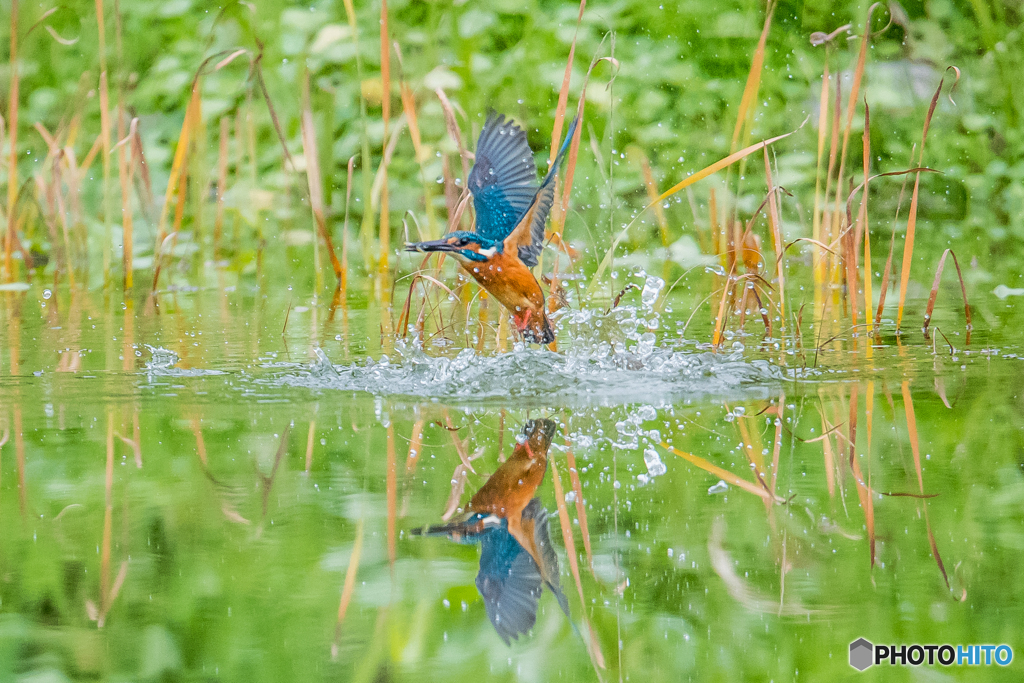 いつもの公園「ざばぁ！」（２）