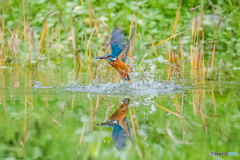 いつもの公園「ざばぁ！」（２）