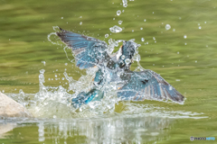 いつもの公園「宝水」（１）
