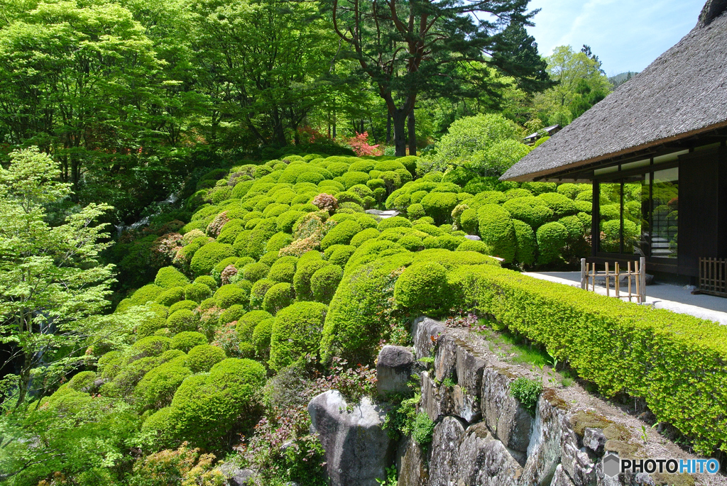 緑風古峯ヶ原（３）