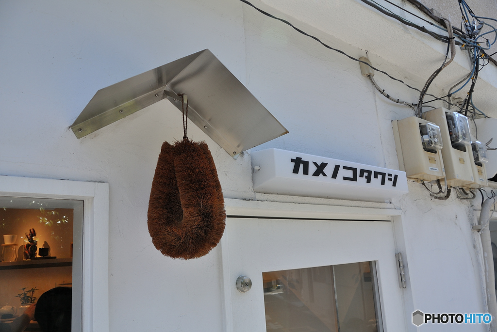 GW谷根千巡り（１３）「カメノコタワシ」