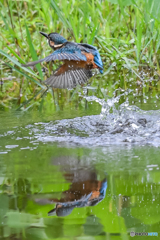 隣町の公園で（２）