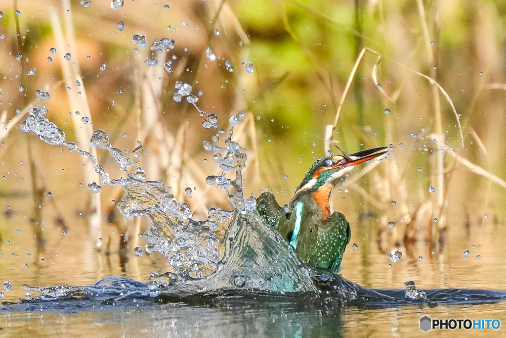 いつもの公園「推理」