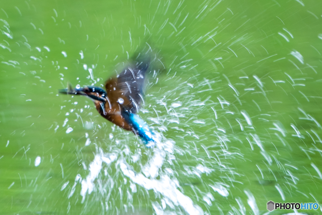 いつもの公園「実験的一日」（低速シャッター設定）