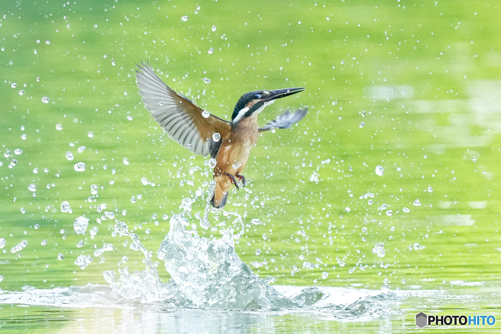 いつもの公園「摂氏３８度」