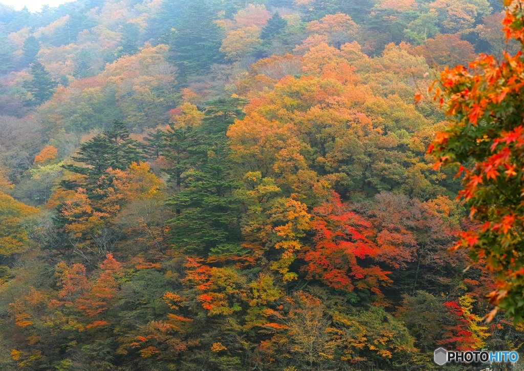 塩原秋景色「塩原湖錦秋」
