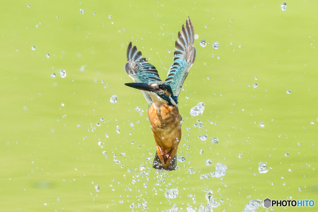 いつもの公園「万歳！」