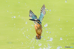 いつもの公園「万歳！」