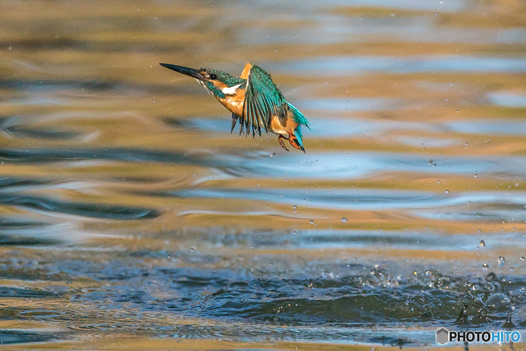 いつものッ公園「採光の水」（４）