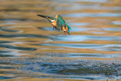 いつものッ公園「採光の水」（４）