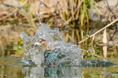 いつもの公園「爆水」