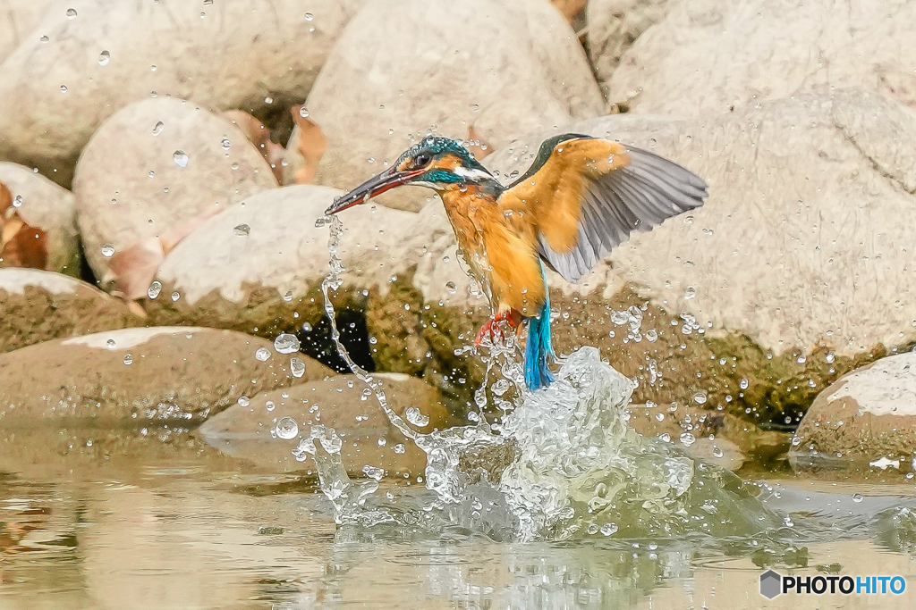 いつもの公園「水引く」