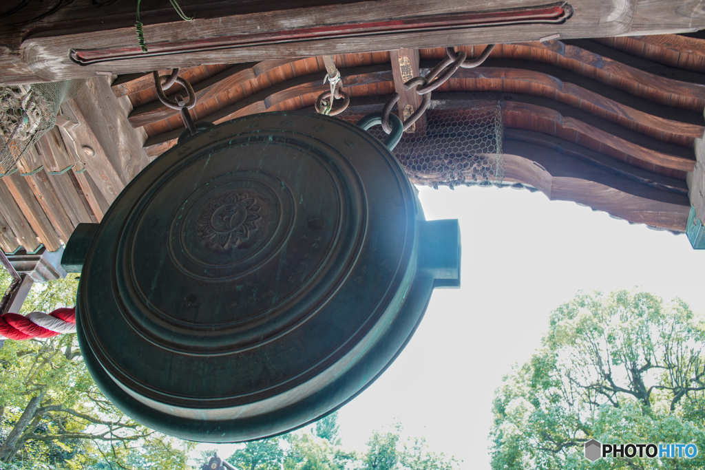 夏気、足利鑁阿寺「夏響」