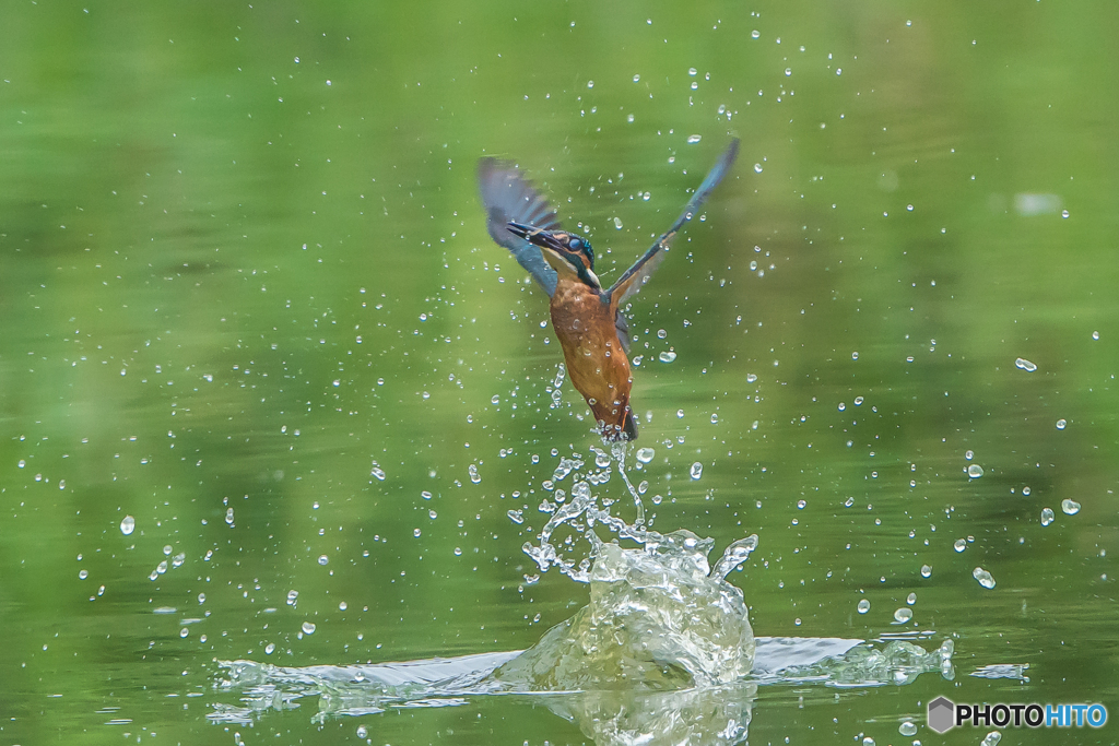 いつもの公園「水雷」