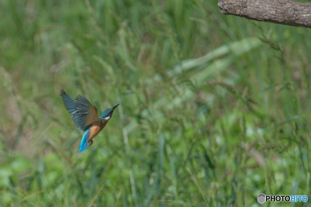 いつもの公園「新しい居場所、気に入っていただけたでしょうか？」（８）