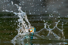 いつもの公園「ワルツ」（４）