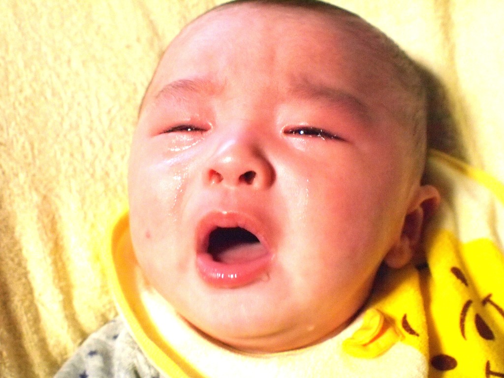 孫　「嫌なものはイヤ」