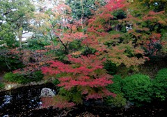 京都　本願寺大谷本廟　「艶やかにして静か」