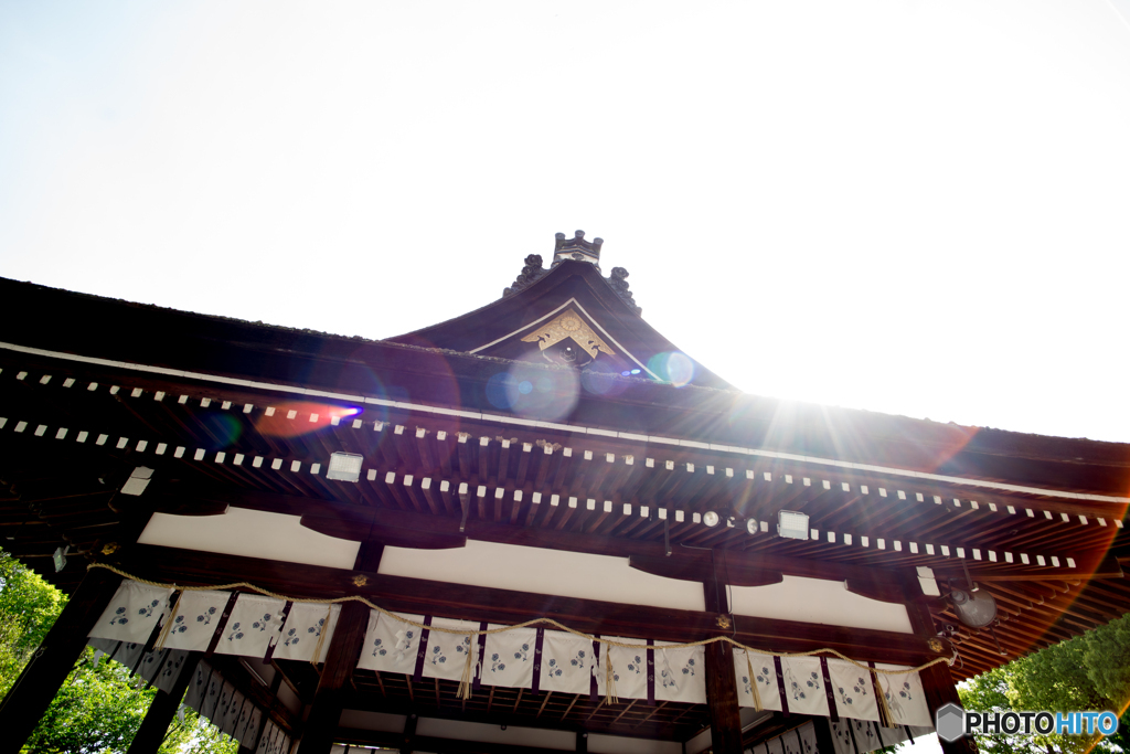 朝（松尾大社）