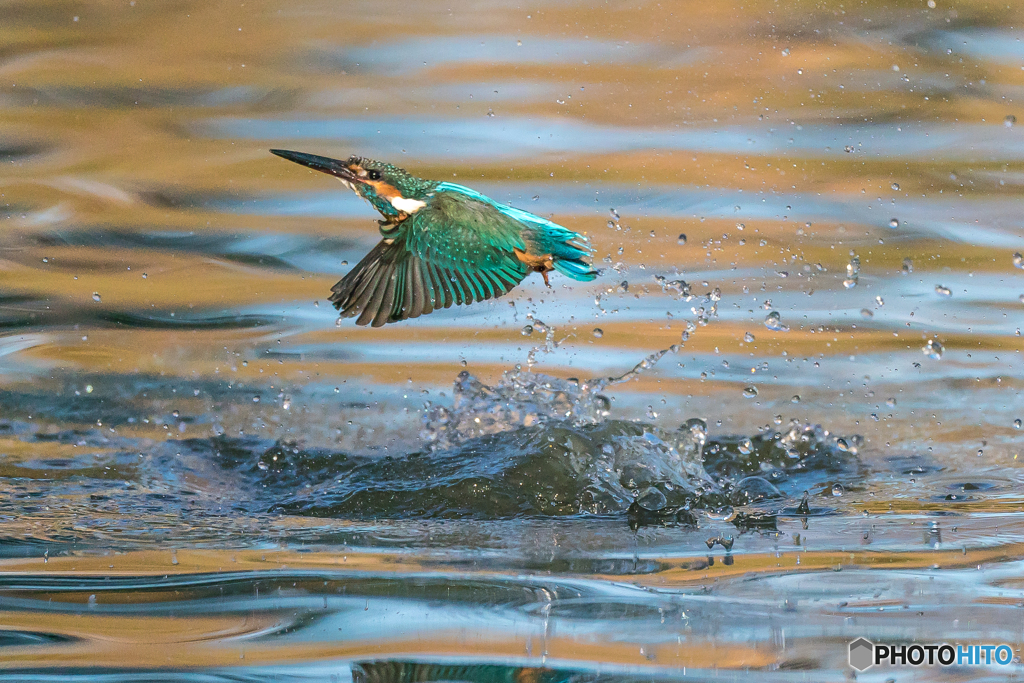 いつものッ公園「採光の水」（３）