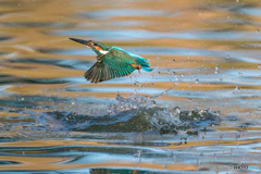 いつものッ公園「採光の水」（３）