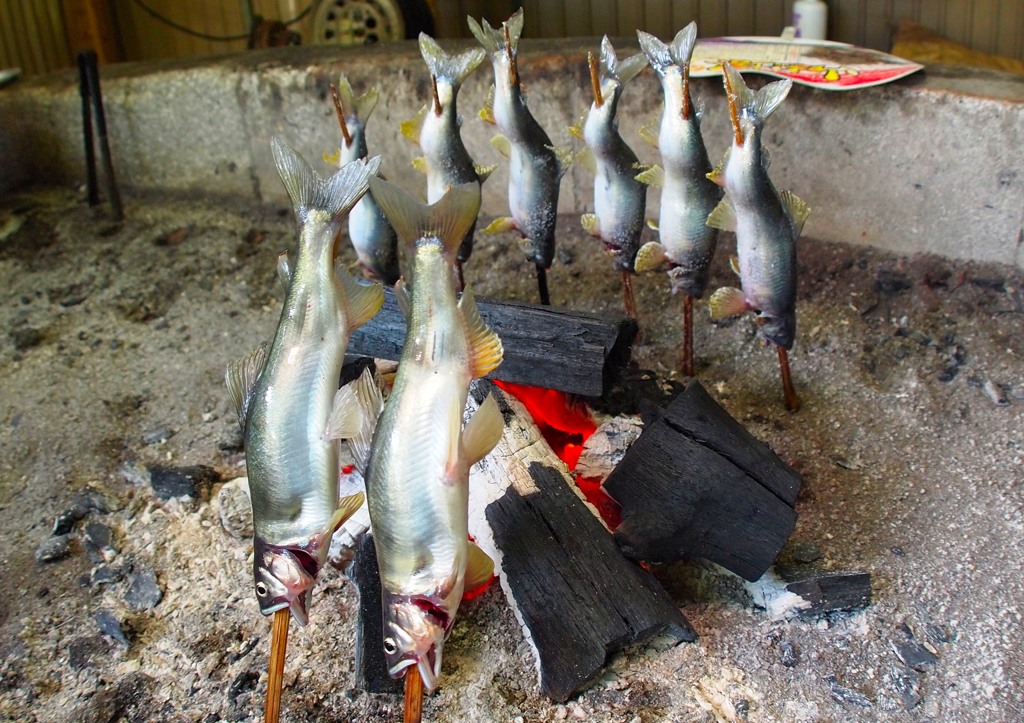 烏山散策　６－６「鮎」