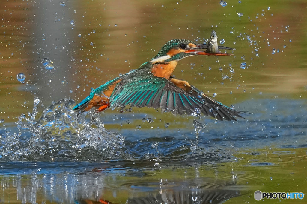 いつもの公園「よくできました！」
