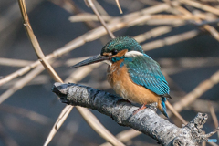 いつもの公園「長期滞在、始まりと」