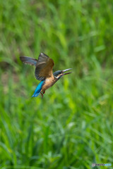 いつもの公園「お久しぶりです。」