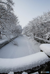 いつもの公園、「雪景色」（３）