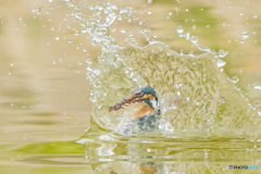 本日の水壁