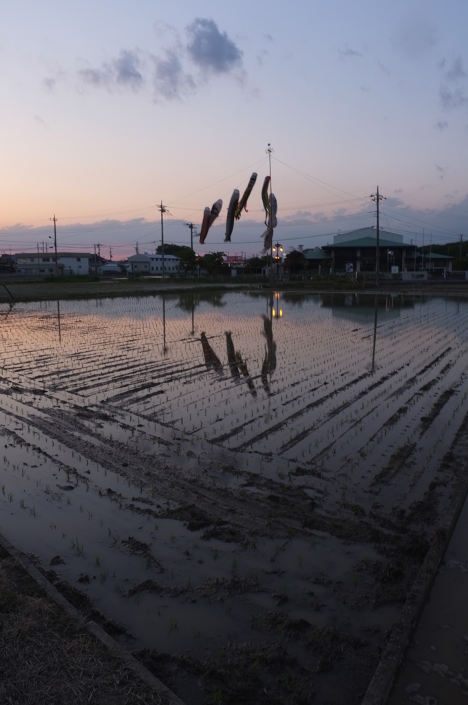 散歩道、夕景　５－４「田植え頃」